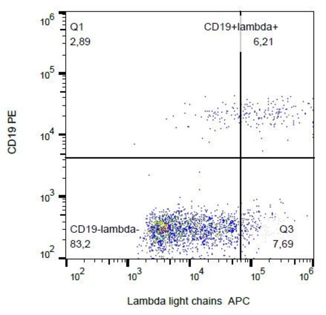 Anti-Lambda light chains Monoclonal