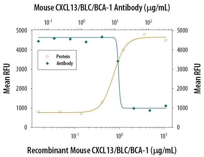 100UG BCA1 / CXCL13