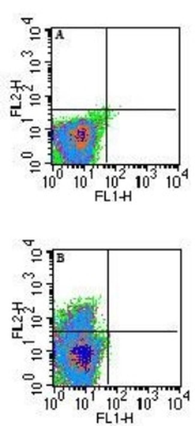 0.1MG H2-T23 0.1 MG