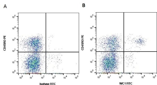 100 g WC1 Monoclonal Antibody (CC15)