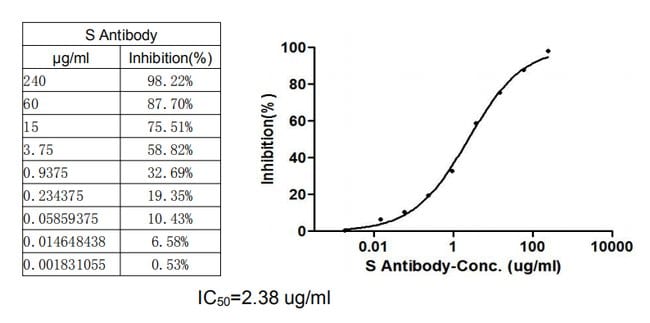 0.9GR SARS-CoV-2 Spike Protein S1 Chimer