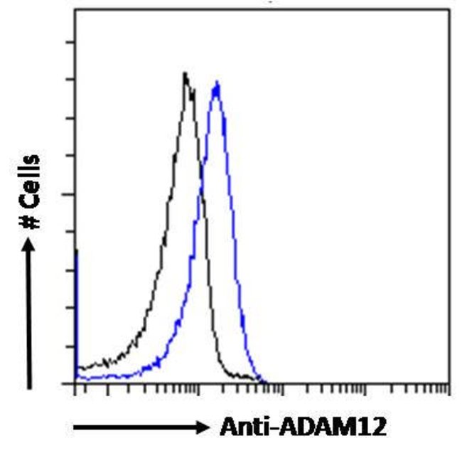 ADAM12 Polyclonal Antibody 100  g  G