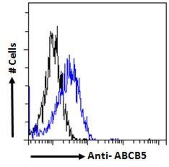 ABCB5 Polyclonal Antibody 100  g  G