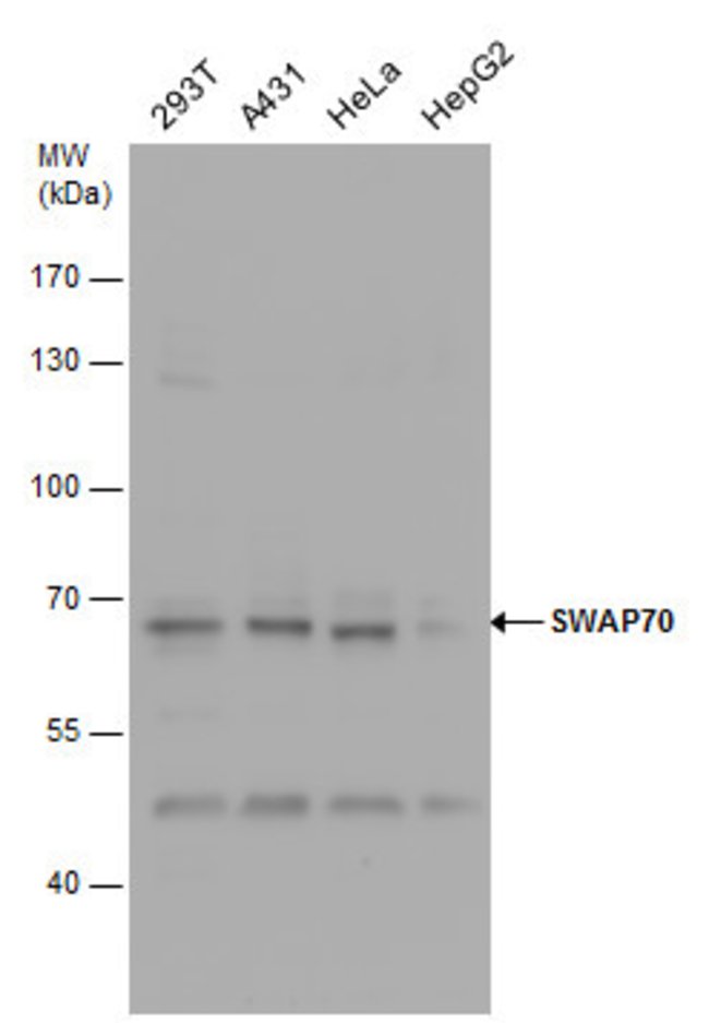 ANTI-SWAP70