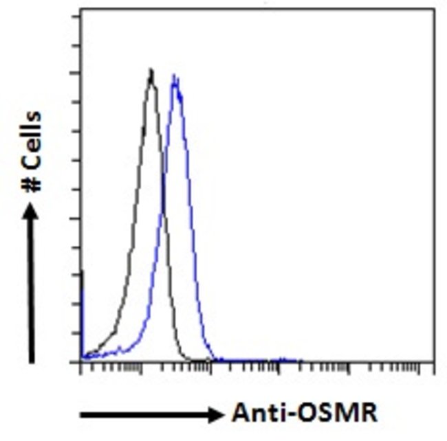 100 UG OSMR / OSMRB Antibody