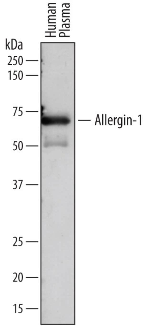 100UG ALLERGIN 1