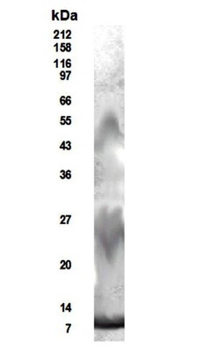 0.1MG RELM BETA 0.1 MG