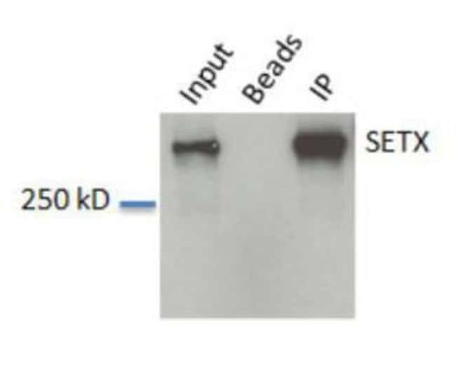 0.1ML SETX 0.1 ML