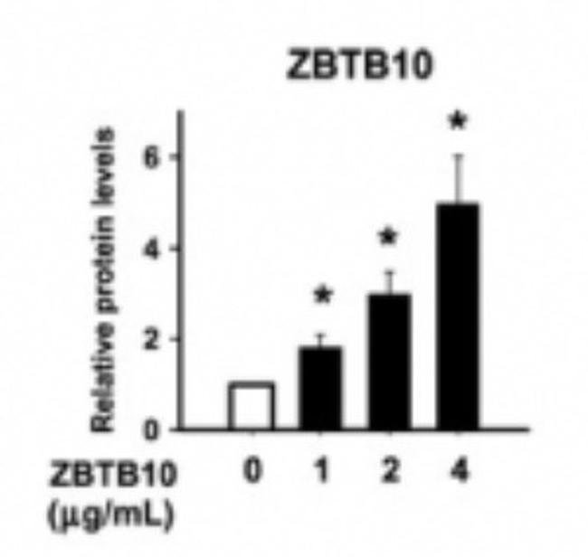 0.1MG ZBTB46 0.1 MG