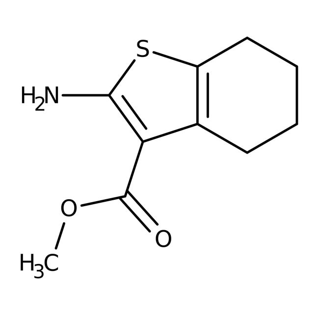 Methyl 2-Amino-4,5,6,7-Tetrahydrobenzo[b