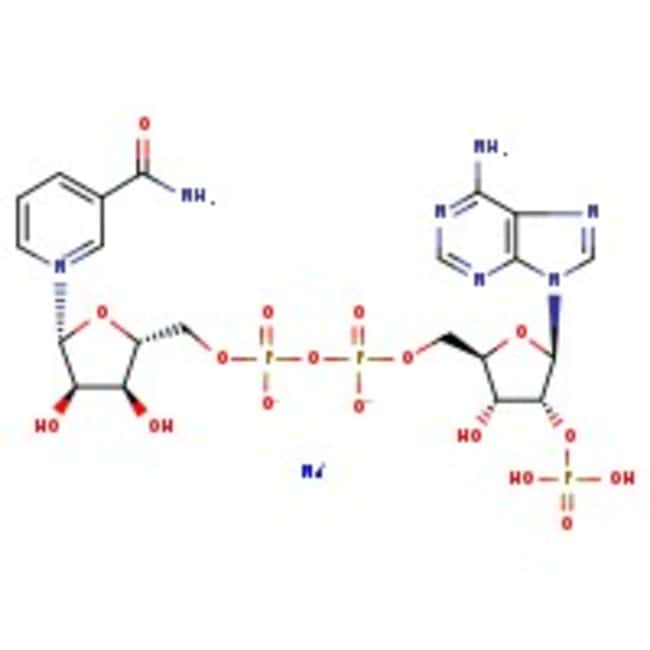 -Nicotinamid-Adenin-Dinucleotid-Phosphat