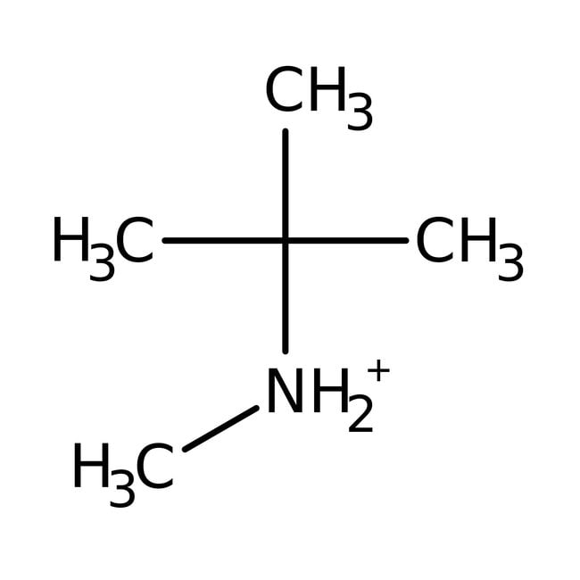 N-tert-Butylmethylamin, 97 %, Alfa Aesar