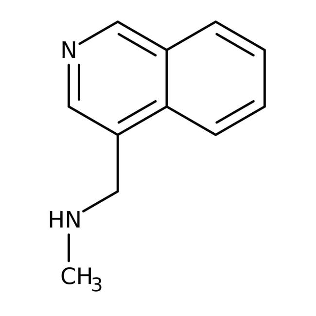 N-Methyl-(Isoquinolin-4-ylmethyl)amin, 9