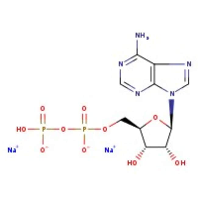 Adenosin-5 -Diphosphatdinatriumsalz, 97