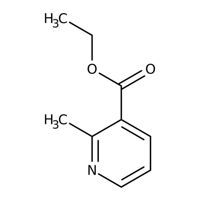 2-Methylnicotinsäureethylester, 97 %, Al