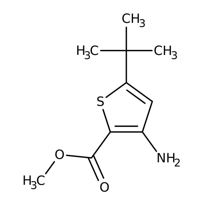 Methyl-3-amino-5(-tert-butyl)-thiophen-2