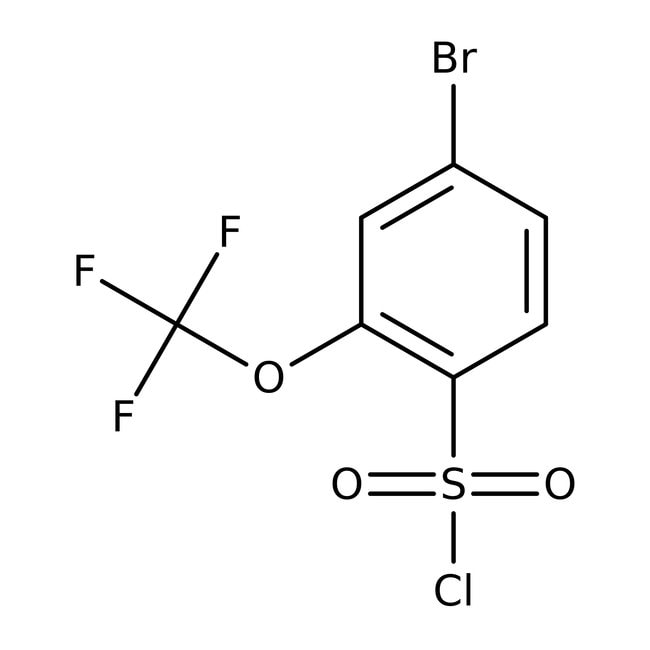 4-Brom-2-(Trifluormethoxy)benzol-1-Sulfo