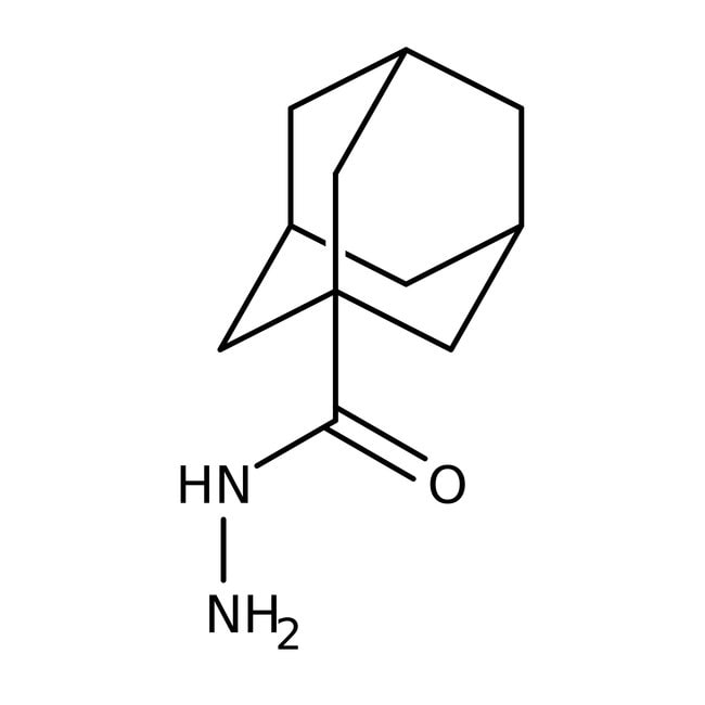 Adamantan-1Carbohydrazid, 97 %, Thermo S