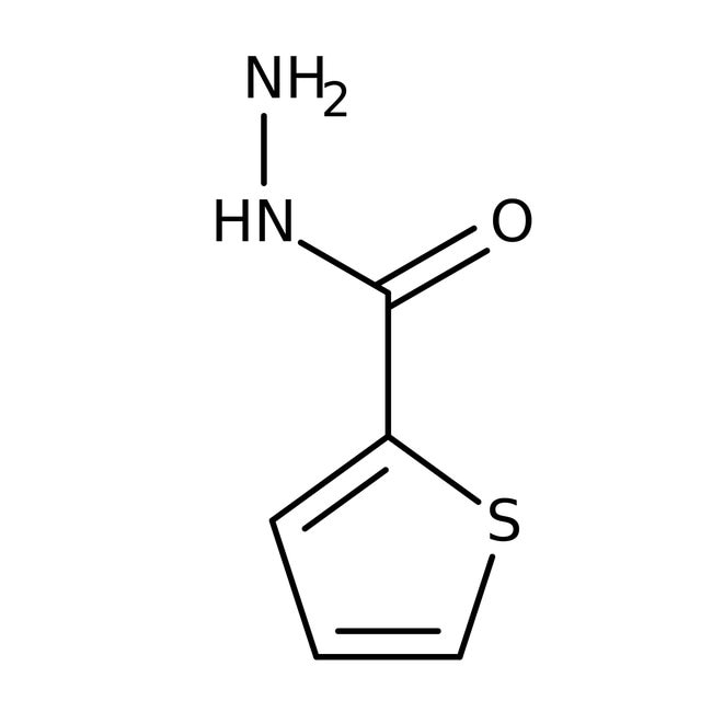 Thiophen-2-carboxylhydrazid,   98 %, Alf