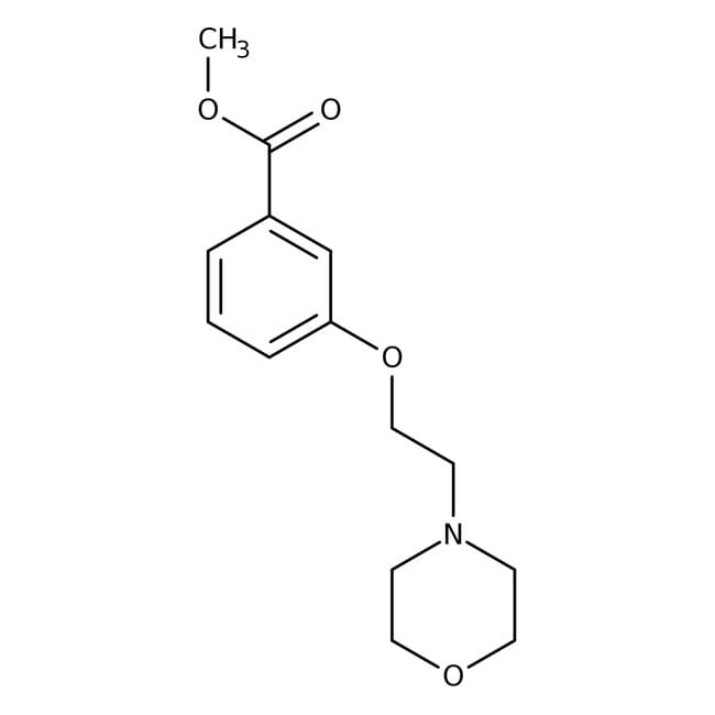 Methyl 3-(2-morpholin-4 -ylethoxy)benzoa