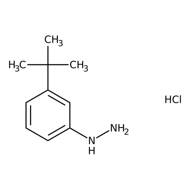 1-[3-(tert-butyl)phenyl]hydrazinhydrochl