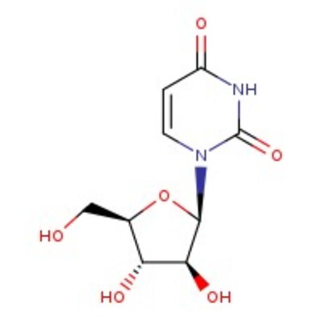 1-beta-D-Arabinofuranosyluracil, 99 %