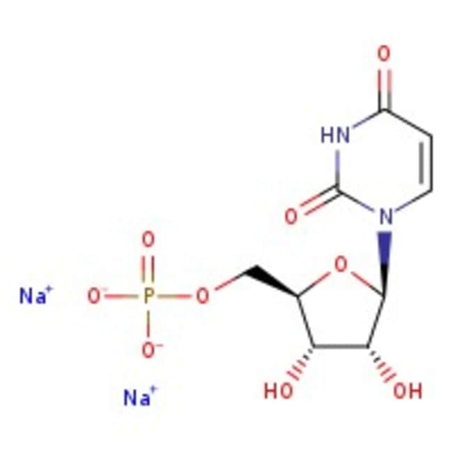 Uridin-5 -Monophosphat-Dinatriumsalz, 99