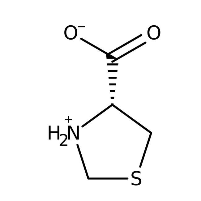 L-Thiazolidin-4-Carbonsäure, 98 %, Therm