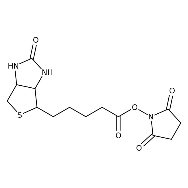 (+)-Biotin-N-hydroxysuccinimidester, 98