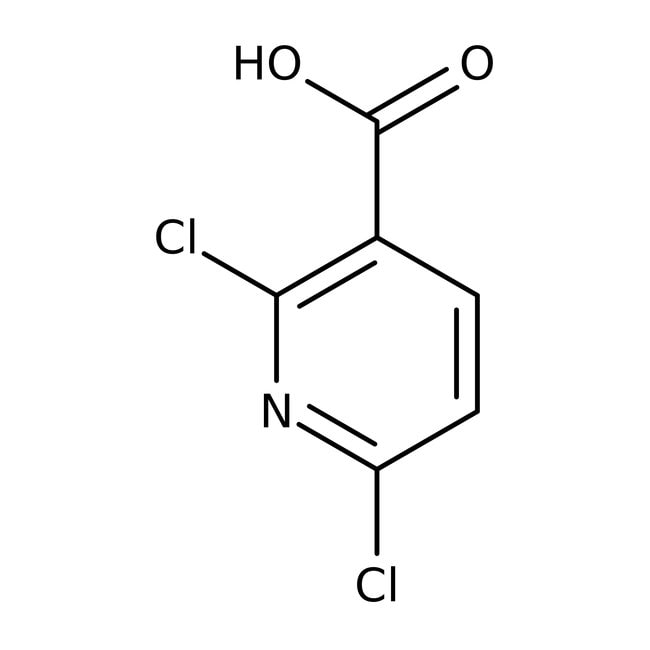 2,6-Dichlornicotinsäure, 97%, Alfa Aesar