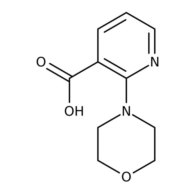 2-Morpholinonicotinsäure, 97 %, Thermo S