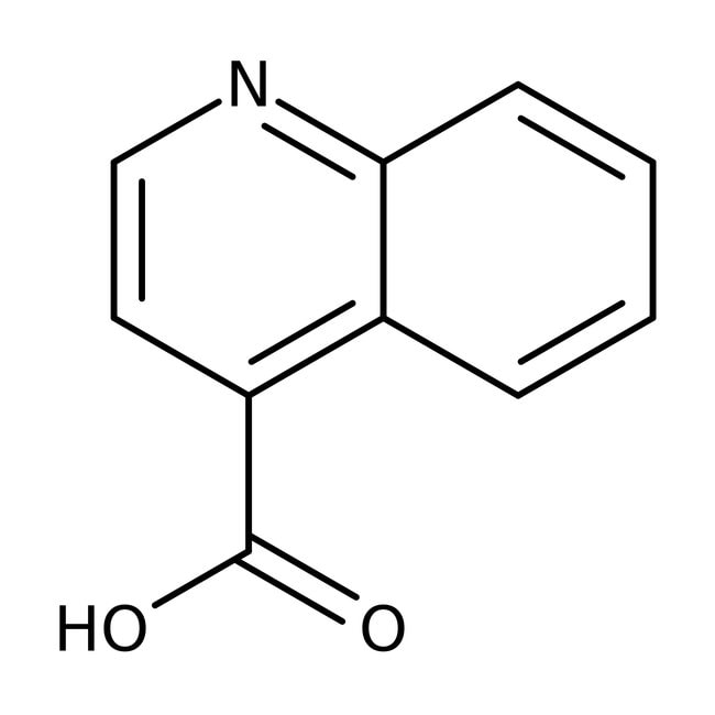 Chinolin-4-carboxylsäure, 97 %, Quinolin