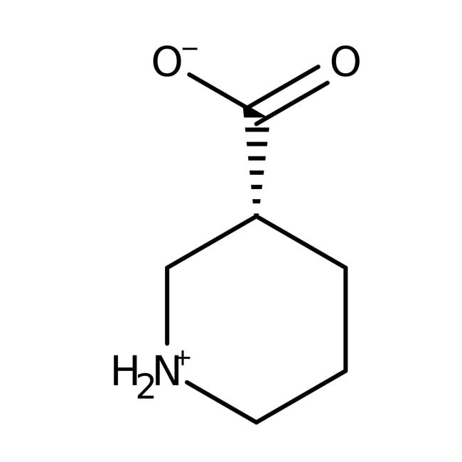 Piperidin-3-carbonsäure, 98 %, Nipecotic