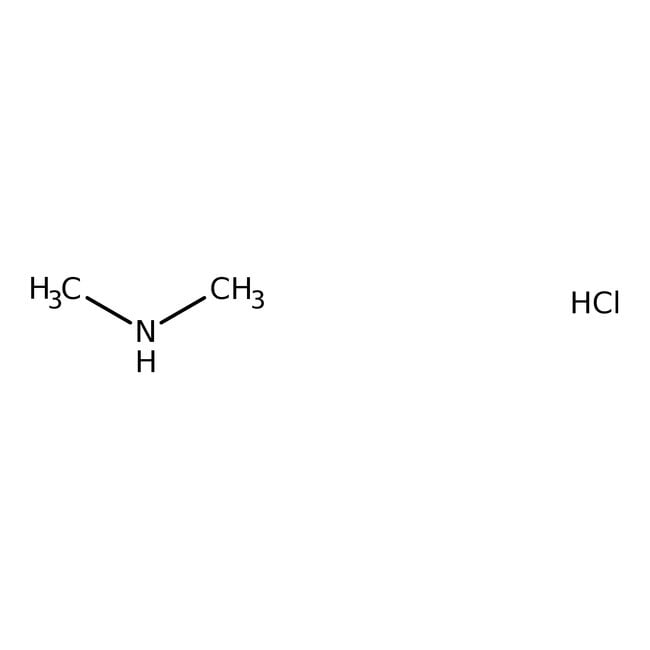 Dimethylaminhydrochlorid 99 %, Thermo Sc