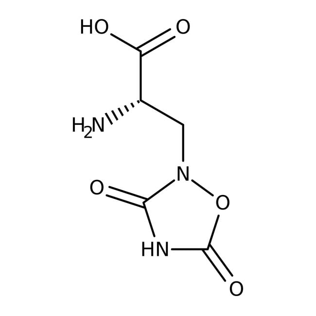 (+)-Quisqualsäure, 99+%, Alfa Aesar (+)-