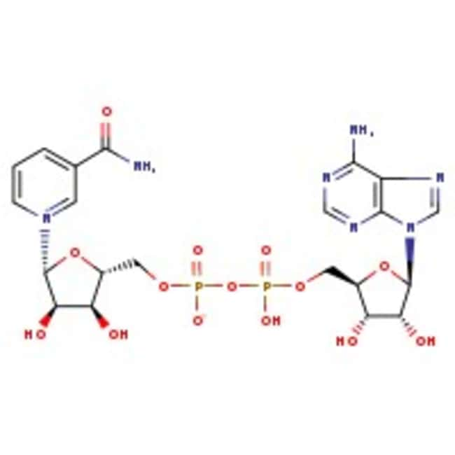 -Nicotinamid Adenin Dinucleotid-Hydrat,