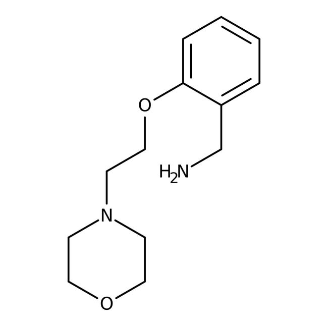 [2-(2-Morpholinoethoxy)phenyl]methylamin