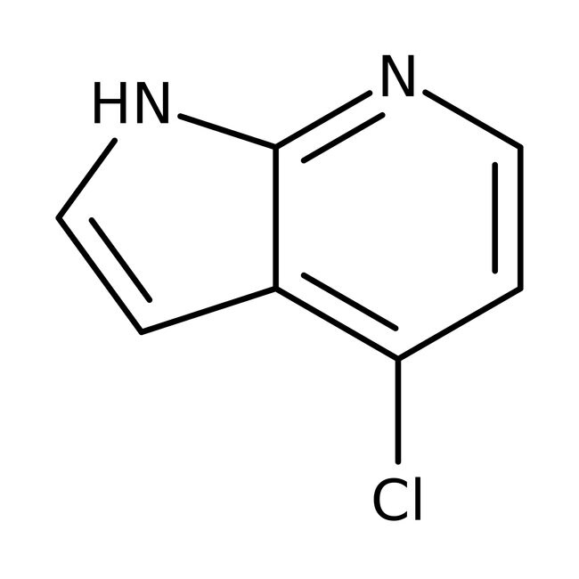 4-Chlor-7-Azaindol, 98 %, 4-Chloro-7-aza