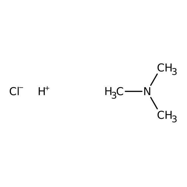 Trimethylamin-Hydrochlorid 98 %, Thermo