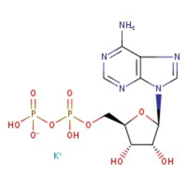 Adenosin-5 -Diphosphat-Monokaliumsalz-Di