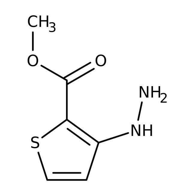 Methyl 3-Hydrazinothiophen-2-Carboxylat,