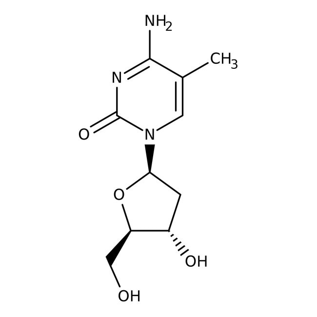 5-Methyl-2 -Desoxyzytidin, 99 %, Alfa Ae