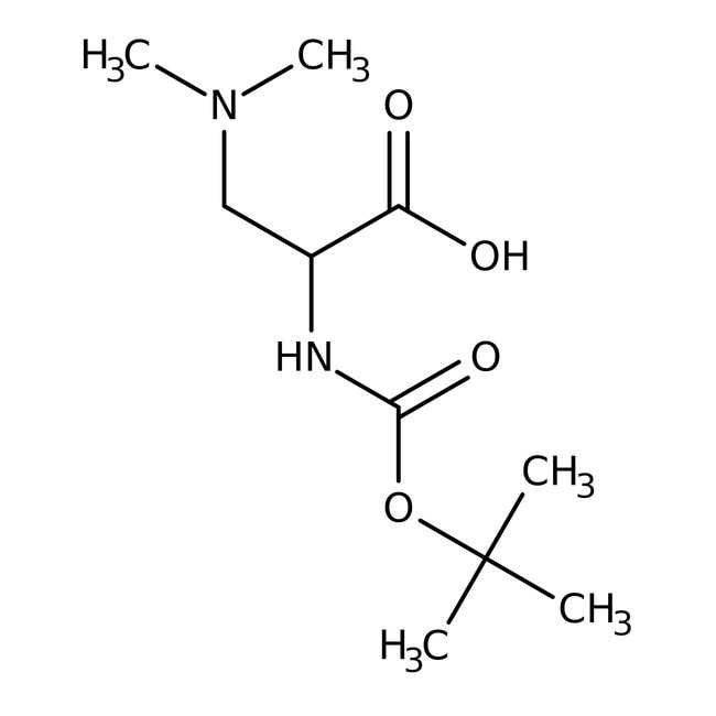 N-Boc-3-dimethylamino-DL-Alanin, 97 %, A