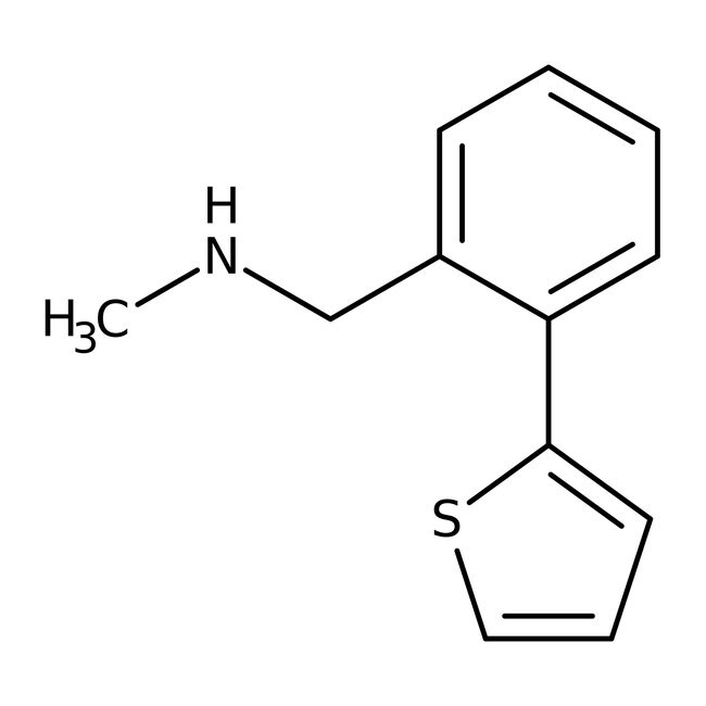 N-Methyl-N-(2-thien-2-ylbenzyl)amin, 97