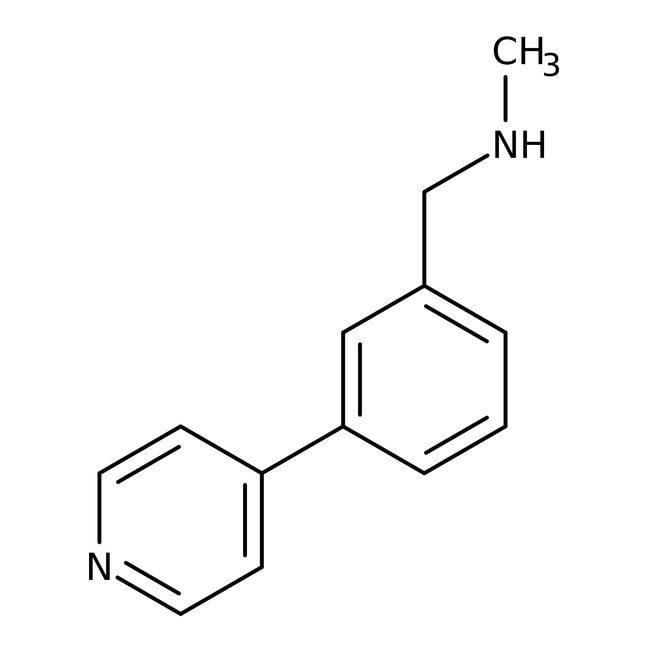 N-Methyl-N-(3-pyridin-4-ylbenzyl)amin, 9