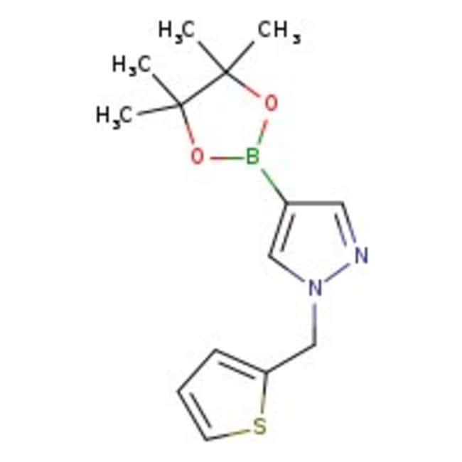 1-[(2-Thienyl)methyl]-1H-Pyrazol-4-Boron