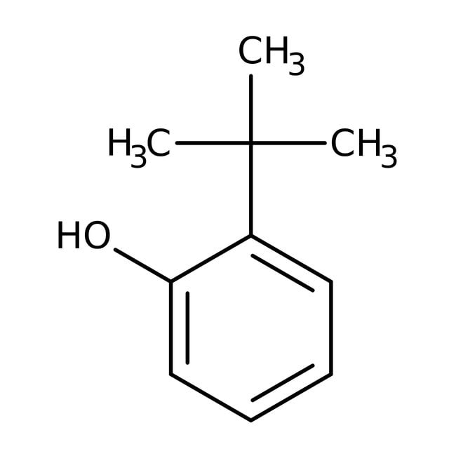 2-tert-Butylphenol, 99 %, Thermo Scienti