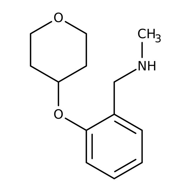 N-Methyl-2-(tetrahydropyran-4-yloxy)benz