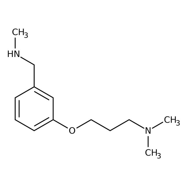 3-[3-(Dimethylamino)propoxy]-N-methylben