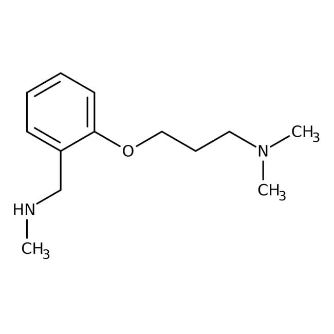 2-[3-(dimethylamino)propoxy]-N-methylben